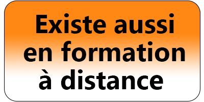 formation 100% à distance