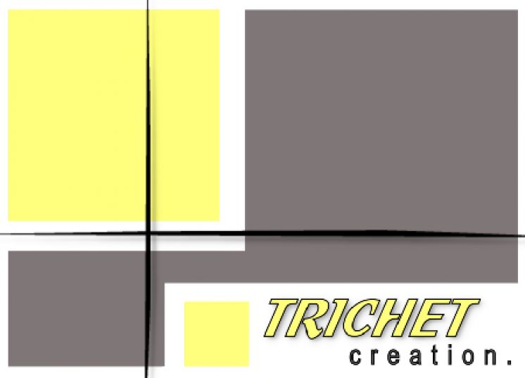 TRICHET CREATION : Dirigeant